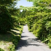 散策路で森林浴ができます