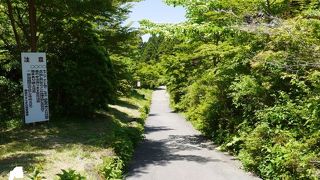 散策路で森林浴ができます