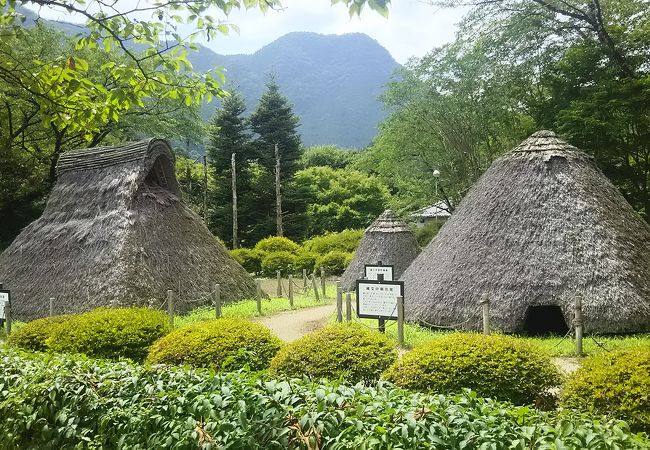 星野遺跡