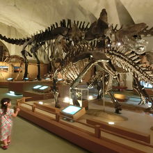 ステゴサウルス