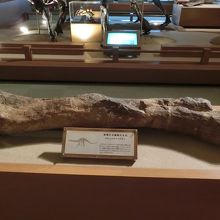 さわってみよう