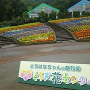 季節の花に合わせて。