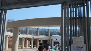 都会の中で、棲息環境展示に努力している姿に感服