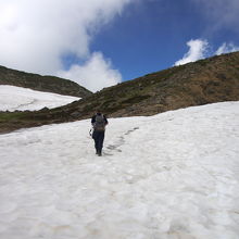 この雪渓歩きが楽しい