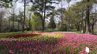 様々な植物を鑑賞できる