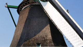 風車が見れます