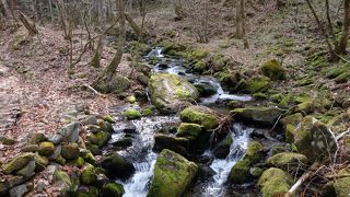 三城いこいの広場オートキャンプ場