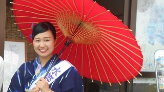 ボランティアガイドさんに案内していただき