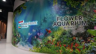 4種類のペンギンがみれます