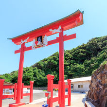 お金を投げて鳥居の上にあるポケットに入ると願いが叶う鳥居