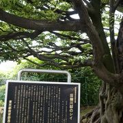 東京都の天然記念物