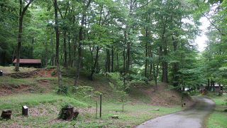 鷹の巣キャンプ場