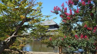 鏡池と百日紅の赤い花と大仏殿