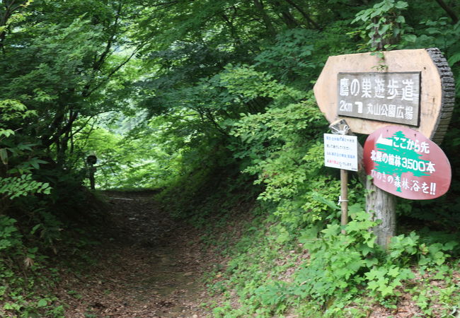 足元が悪く歩きづらい