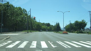 パープルなのは、ほんの一時期です