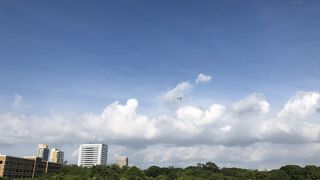 猛暑の中を涼を求めて大濠公園へ行って来ました。暑かったです。