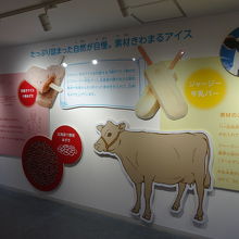 見学コース内の説明。試食まではもう少し