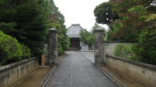 谷根千寺巡り
