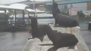 国内定期船のふ頭そば