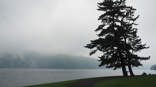 幻想的な雰囲気でした