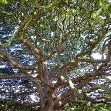 何となく下から撮影