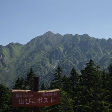 目指す西穂高岳（の少し右の方の独標が今日の目標）