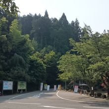 駐車場から少し歩いて登ります