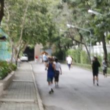 朝夕は地元のジョガーで賑わっています