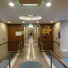 船内 スタンダードルームの廊下