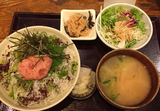 しらすネギトロ丼