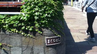 素敵な景色が見える