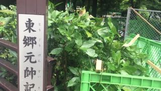 段差のある公園