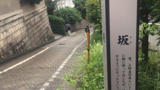 ロマンチックな坂名