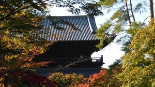 哲学の道から行くのがオススメです！