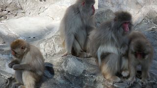 週末は混んでいます！