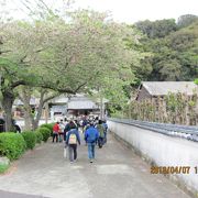 知多四国第４９番札所のお寺です。
