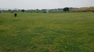 野球場やサッカー場など　