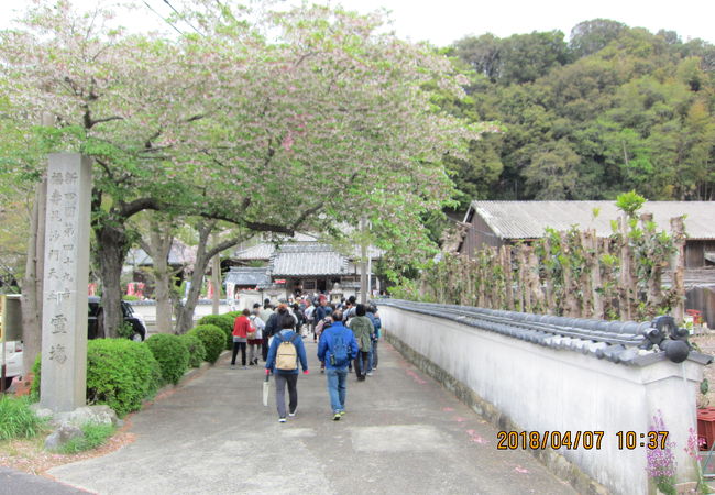 知多四国第４９番札所のお寺です。