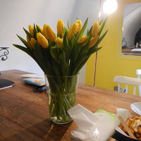 チューリップを購入してたっぷり飾ってみました。