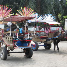 敷地内を歩きたくない方は　こんな乗物もあります
