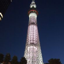 大きくて撮影するのも難しい！