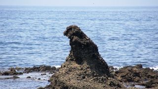 確かにゴジラに観えますが写真に撮るには望遠レンズが必要です。