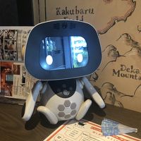 入口にある小さなロボット