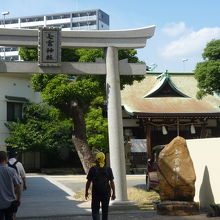 神社の鳥居をくぐって本殿へ