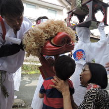 元気になるように獅子に頭を噛んでもらう子どもと祖母