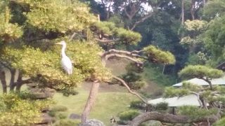 手入れが行き届いた感じの良い庭園