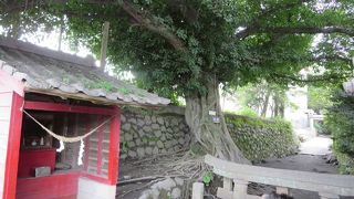 鳥居の上だけ見えます