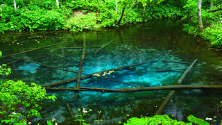 風のない晴れた日の早朝がベスト