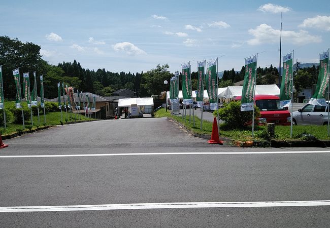 復興支援　熊本阿蘇シニアオープンゴルフトーナメント