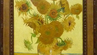 写真撮影が可能になっています